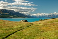 NZ Pukaki a MtCook 0754